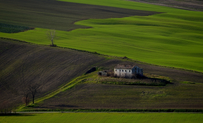 144 - RUDERE NEL VERDE - GABERTHUEL WALTER - italy.jpg